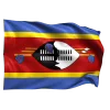 🇸🇿