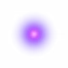 🟣