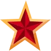 🌟