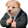 😎