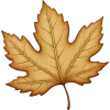 🍁