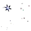 🌟