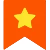 🌟