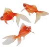🎏