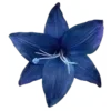 💠