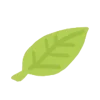 🍃