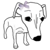 🐶