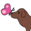 🐶
