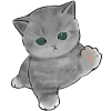 🐈