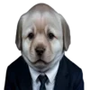 💼