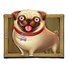 🐶