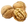 🌰