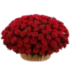 🌹