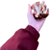 🍄