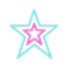🌟
