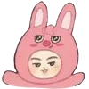 🐷
