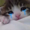 😭