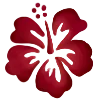 🌺