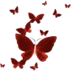 🦋
