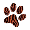 🐾