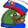 🇸🇰