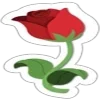 🌹