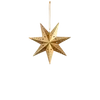 🌟