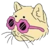 🐈