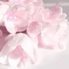 🤩