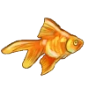 🐟