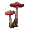 🤩