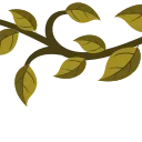🌿