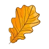 🍁