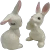 🫂
