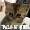 🥺