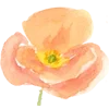 🌸