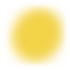 🌕