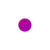 🟣