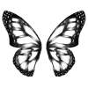 🦋