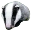 🦡