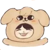 🐶