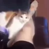 😡