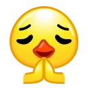 🙏
