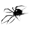 🕷