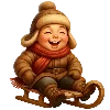 🛷