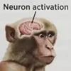 🧠