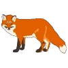 🦊