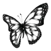 🦋