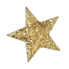 🌟
