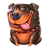 🐶